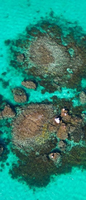 vsadventures-bcs-mexico-adventures