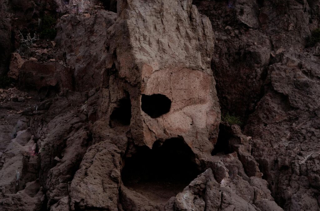 Gallery Thumbnail 5