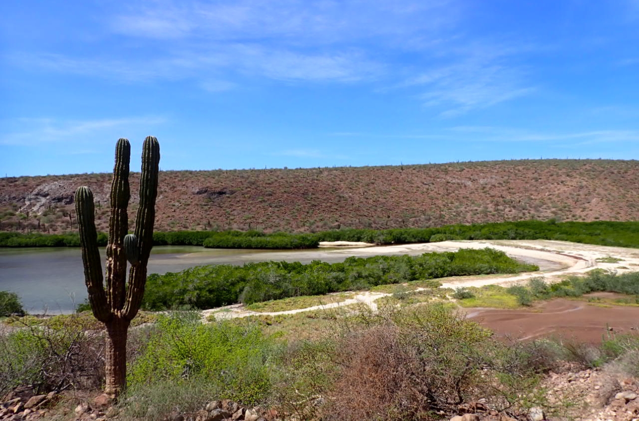 vsadventures-hike-balandra-la-paz-bcs-paisaje
