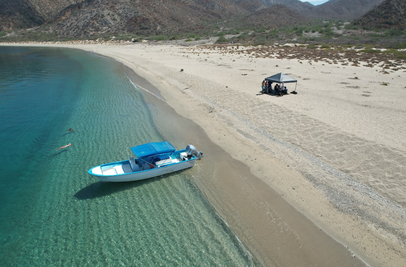 vsadventures-safari-marino-isla-cerralvo-playa-2