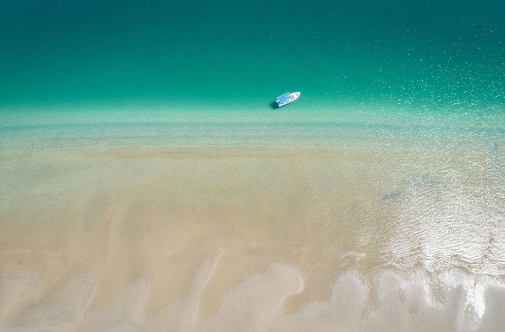Gallery Thumbnail 5