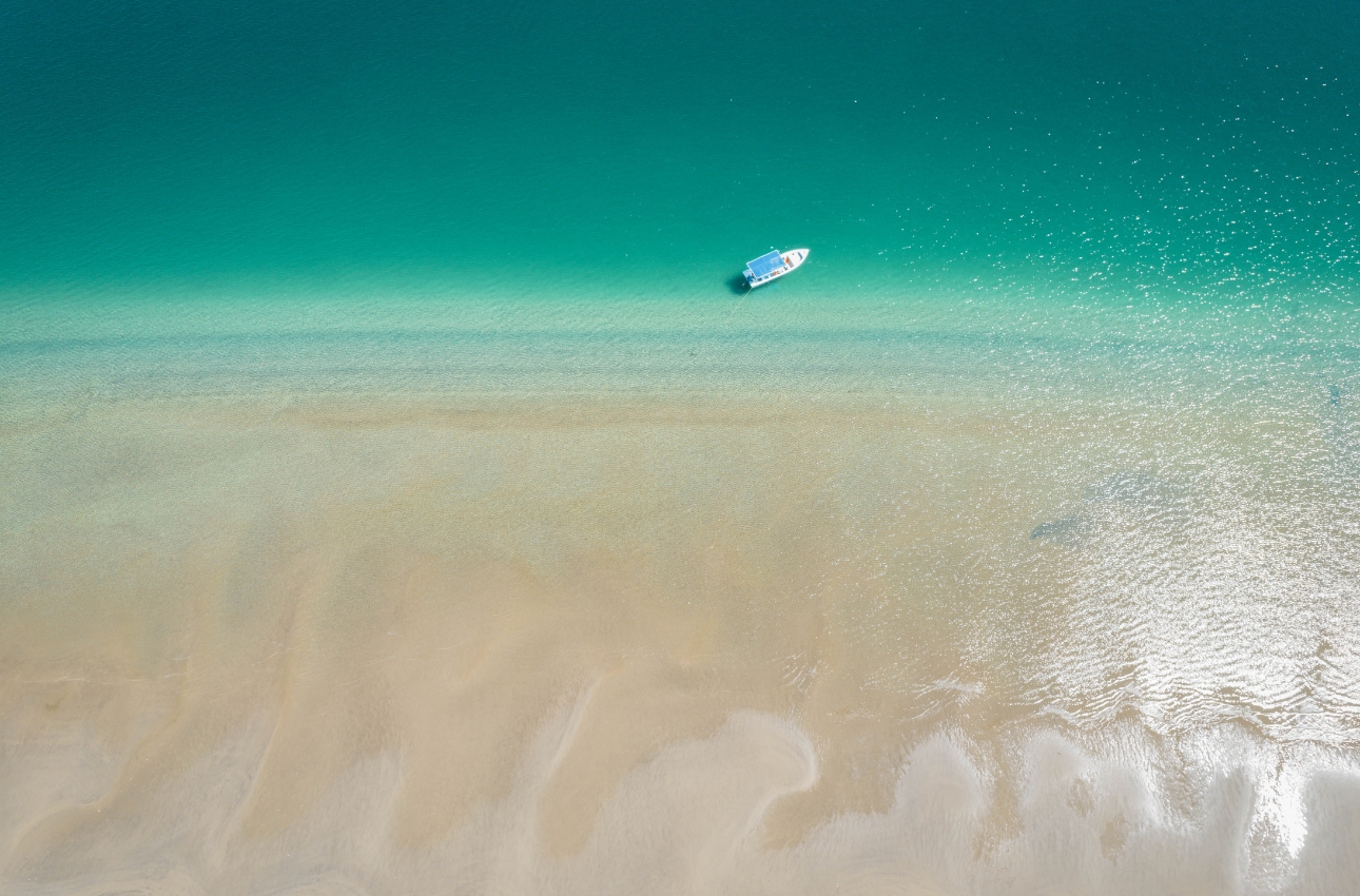 vsadventures-ballena-gris-puerto-san-carlos-playa-panga